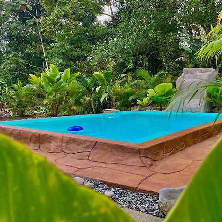 Iki Volcan Arenal With Jacuzzy La Fortuna Εξωτερικό φωτογραφία